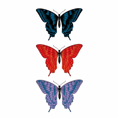 タトゥーシール 3色揚羽(タトゥー・刺青シール)