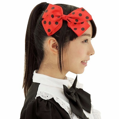 �h�b�g���{���@���b�h�i�R�X�`���[���j