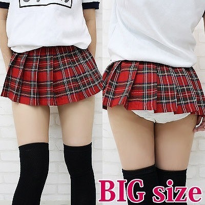 ���~�j�`�F�b�N�X�J�[�g�@�a�h�f�i�R�X�`���[���j