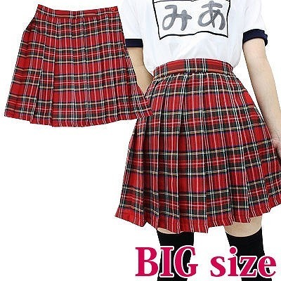 �`�F�b�N���v���[�c�X�J�[�g�@�a�h�f�i�R�X�`���[���j