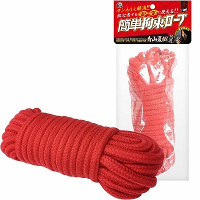 �ȒP�S�����[�v�@�i�ԁj�iSM�E�S����j