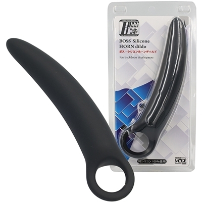 �{�X�@�V���R���z�[���f�B���h�@�i�w�k�j�i�A�i���g���O�b�Y�j