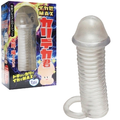 �C�J���l�`�w�@�J���f�J�N�i�j���⏕�O�b�Y�j