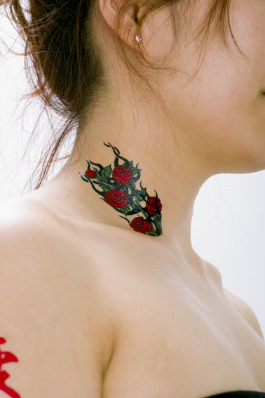 �^�g�D�[�V�[���@���K�N���z